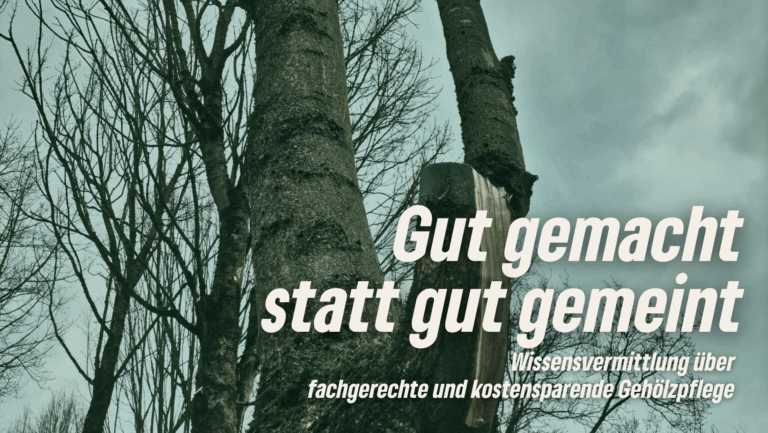 Grüne setzen auf mehr Wissenstransfer bei der Pflege des Stadtgrüns
