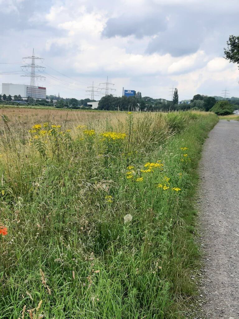 Pressemitteilung:  Grüne Radtour von der Ruhr zur Emscher am Sonntag, den 18.07.2021