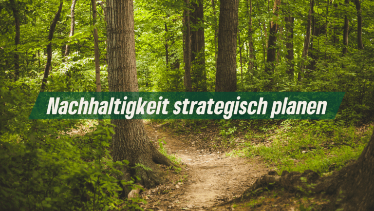 Haushalt 2025: Nachhaltigkeit strategisch planen